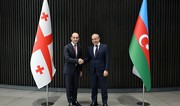 Azerbaijan, Georgia discuss prospects for joint projects