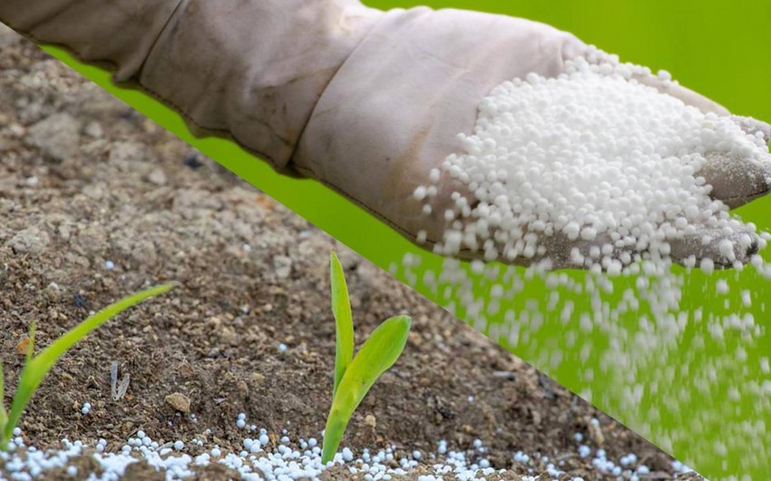 Azerbaijan resumes organic fertilizer imports from two countries