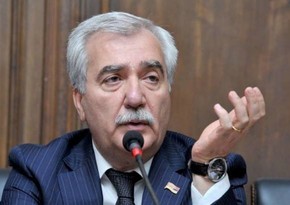 Armenian MP: There are forces in Armenia that hinder normalization with Azerbaijan