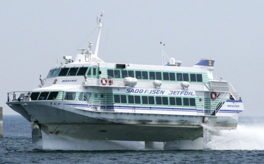 87 people injured as ferry hits whale