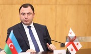 Georgian Minister of Education, Science, and Youth resigns