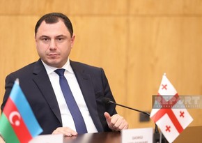 Georgian Minister of Education, Science, and Youth resigns