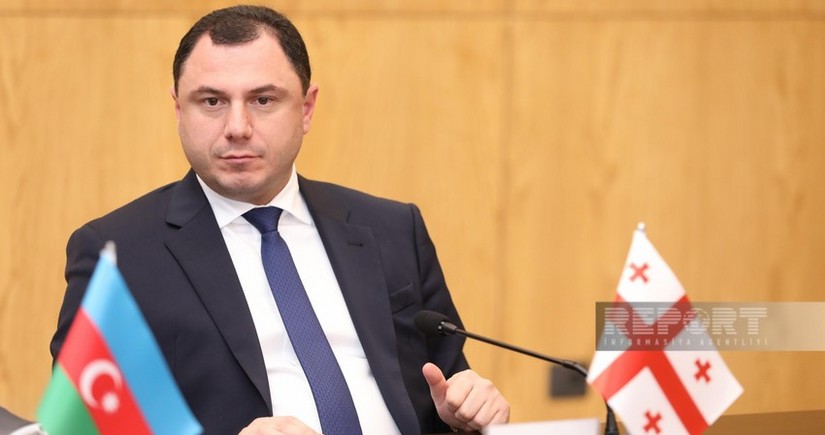 Georgian Minister of Education, Science, and Youth resigns