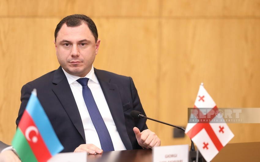 Georgian Minister of Education, Science, and Youth resigns