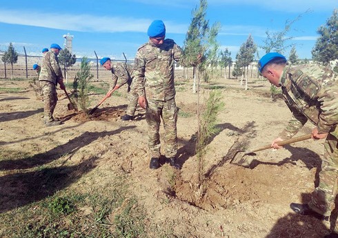 В Азербайджанской армии продолжаются акции по посадке деревьев