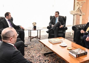 Заместитель главы МИД Азербайджана встретился с министром иностранных дел Бразилии