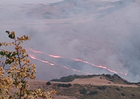 В горных местностях Агсу и Шемахе возобновились пожары