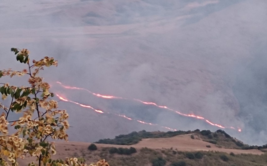 В горных местностях Агсу и Шемахе возобновились пожары