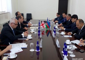 Georgian FM: Our relations with Azerbaijan developed to strategic level of partnership