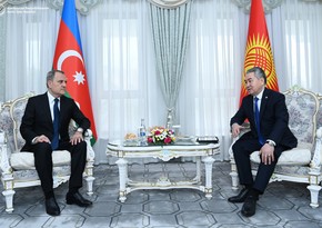 One-on-one meeting between Azerbaijani, Kyrgyz FMs starts