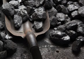 Reuters: Запрет на поставки российского угля отложен до августа