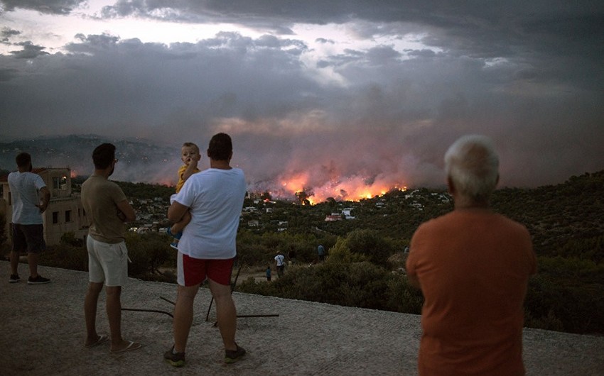 Число жертв лесных пожаров в пригородах Афин достигло 91