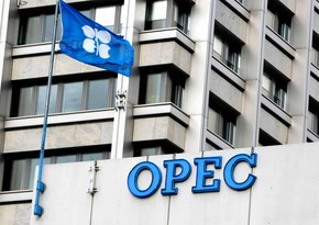 OPEC keeps forecast for growth in global oil demand in 2021