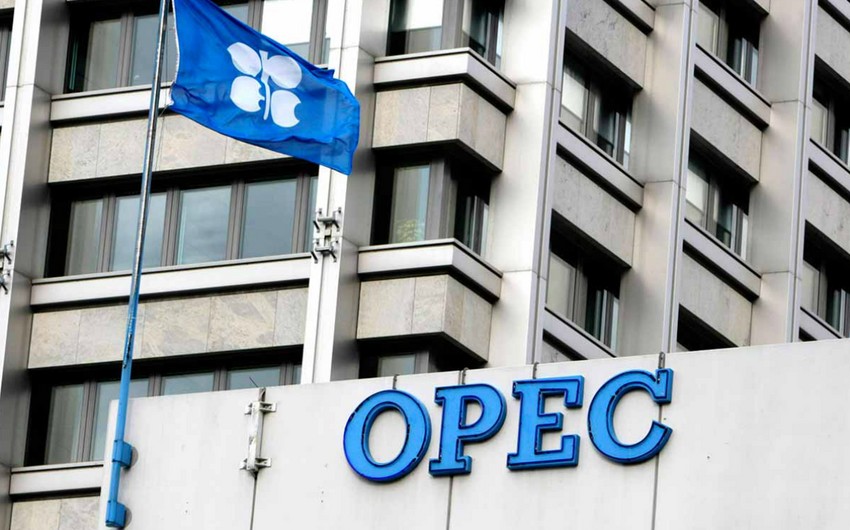 OPEC keeps forecast for growth in global oil demand in 2021