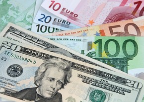 Report experts: Euro will keep its strong positions against dollar for a while