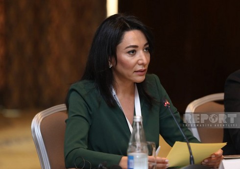 Сабина Алиева: Пожизненное заключение военнослужащего Азербайджанской армии в Армении противоречит международному праву