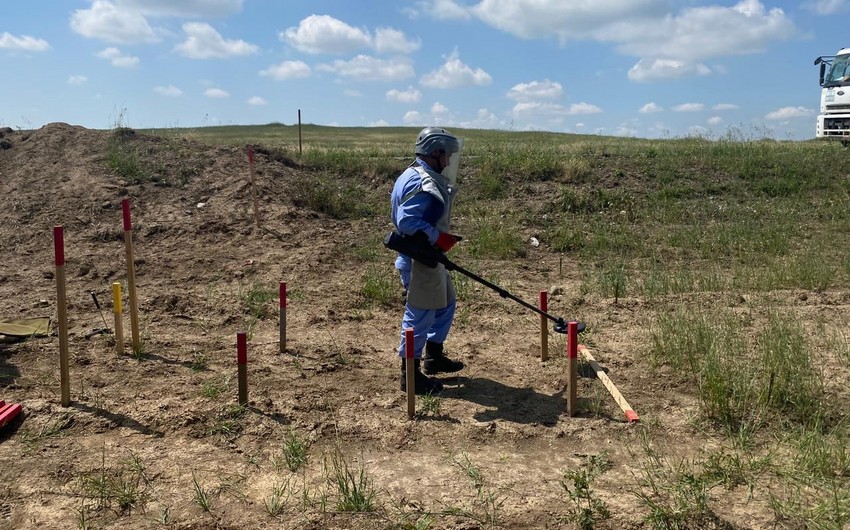 Azerbaijan boosts collaboration with global landmine experts