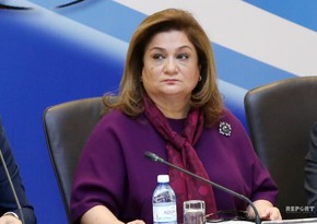 Committee Chair: 'At present, over 200 organizations deal with gender issues in Azerbaijan'