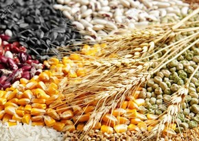 Azerbaijan increases cost of importing grain, bean products from Turkiye by 3-fold