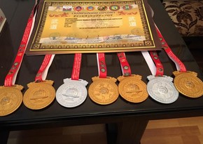 Азербайджанские спортсмены в этом году завоевали 519 медалей