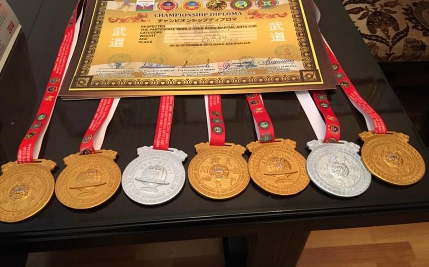 Азербайджанские спортсмены в этом году завоевали 519 медалей
