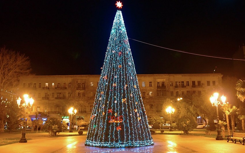 В Баку приступили к установке новогодних ёлок