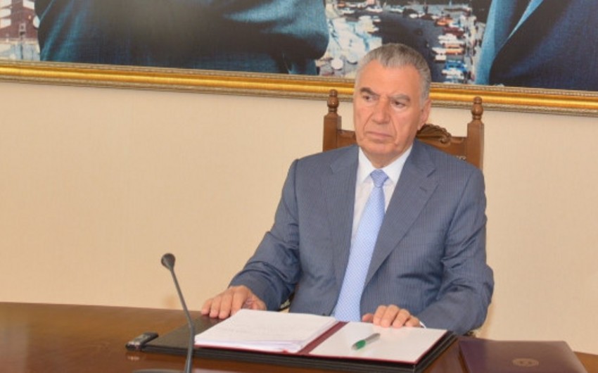 Заместитель премьер-министра: Государство и общество Азербайджана были глубоко обеспокоены событиями в Турции