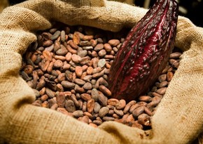 Cocoa hits 4-month low on prospects of weak demand, supply boost