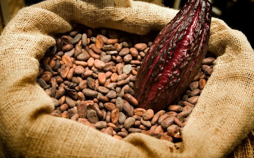 Cocoa hits 4-month low on prospects of weak demand, supply boost