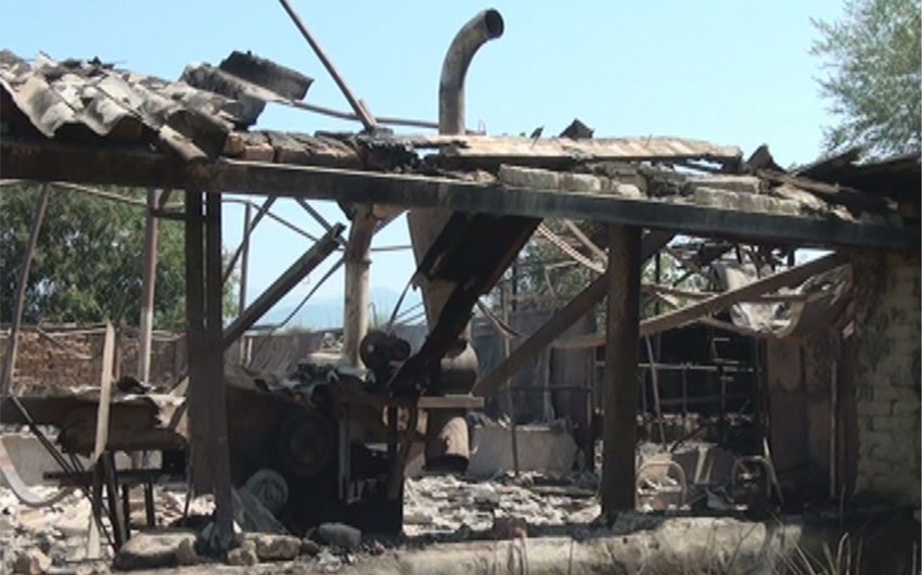 В Закатале на ферме произошел пожар, владельцу нанесен ущерб на 150 тыс. манатов - ФОТО
