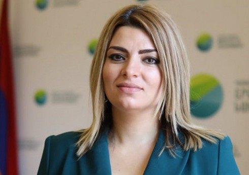 Экс-замминистра окружающей среды Армении подала в суд иск против правительства