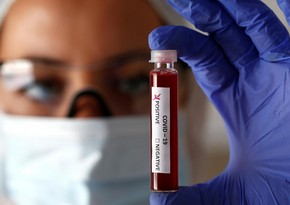 Eris virus detected in 9 people in Türkiye