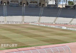 Pigeons of Stadium named after Tofig Bahramov - PHOTOS