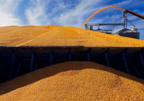 ООН при помощи Турции подготовила новые предложения по зерновой сделке