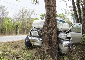 В Гахе автомобиль врезался в дерево, есть погибший