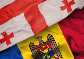 Президент Молдовы в телефонном разговоре с грузинской коллегой выразила поддержку народу Грузии