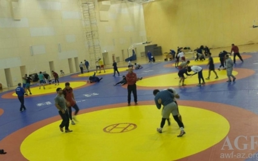 Azerbaijani wrestler wins silver medal