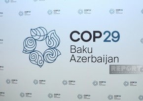 Kazakhstan pledges active participation in COP29 Climate Conference