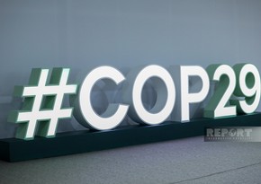 День цифровизации COP29: В Баку обсуждают роль цифровых технологий в борьбе с климатическим кризисом