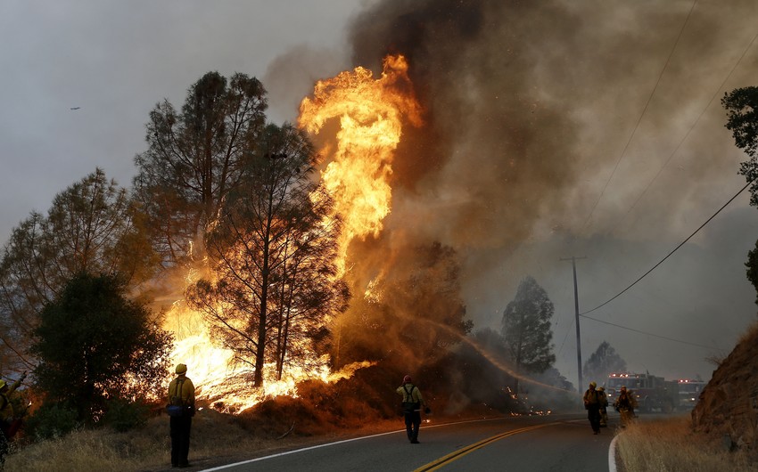 ABŞ-da meşə yanğınları nəticəsində ölənlərin sayı 11 nəfərə çatıb
