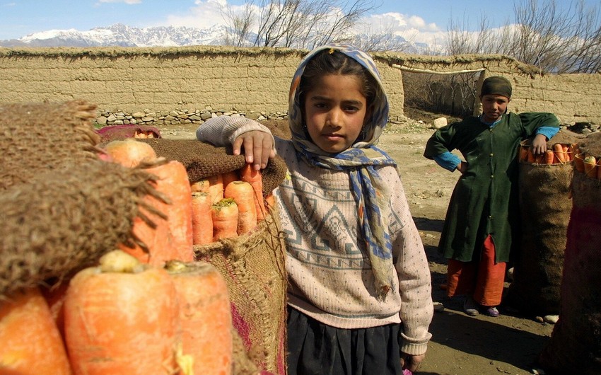 ООН получила $131 млн на помощь Афганистану