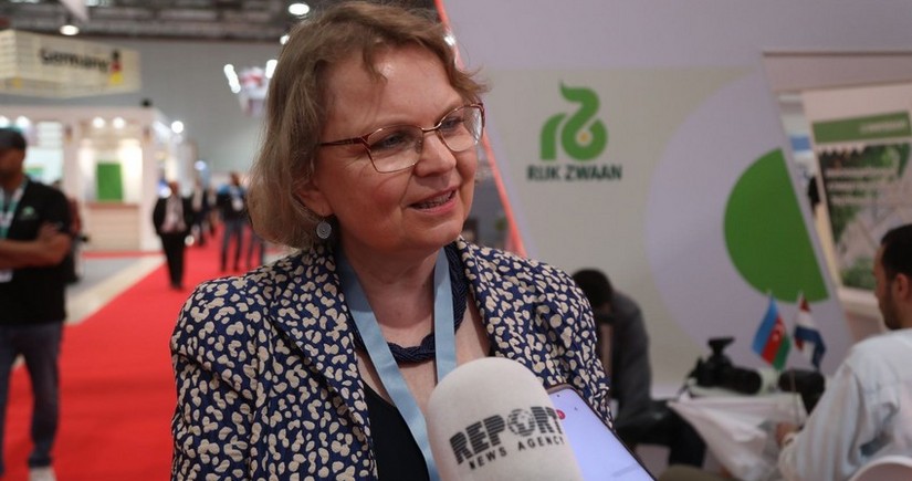Niderland səfiri Azərbaycanı təbrik edib