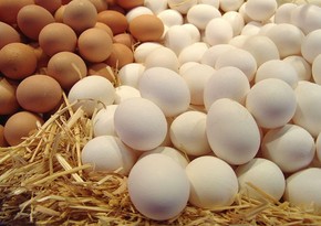 Россия получила из Азербайджана и Турции 13,3 млн яиц