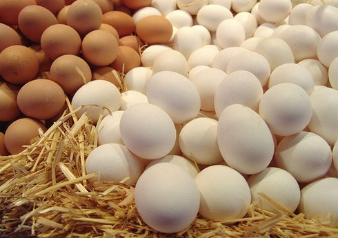 Россельхознадзор: Из Азербайджана в Россию поставлено 29,3 млн яиц