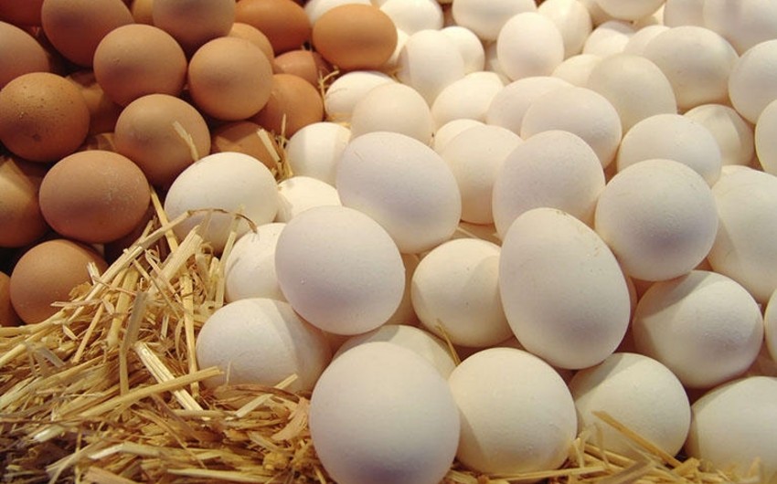 Russia receives 13.3 million eggs from Azerbaijan and Türkiye 