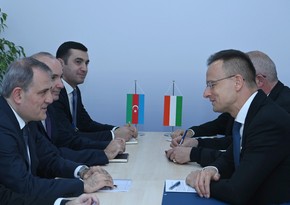 Главы МИД Азербайджана и Венгрии обсудили вопросы сотрудничества