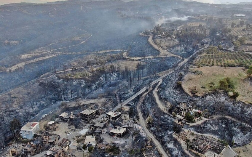 В Турции в ходе борьбы с лесными пожарами локализовали 70 из 81 очага возгорания