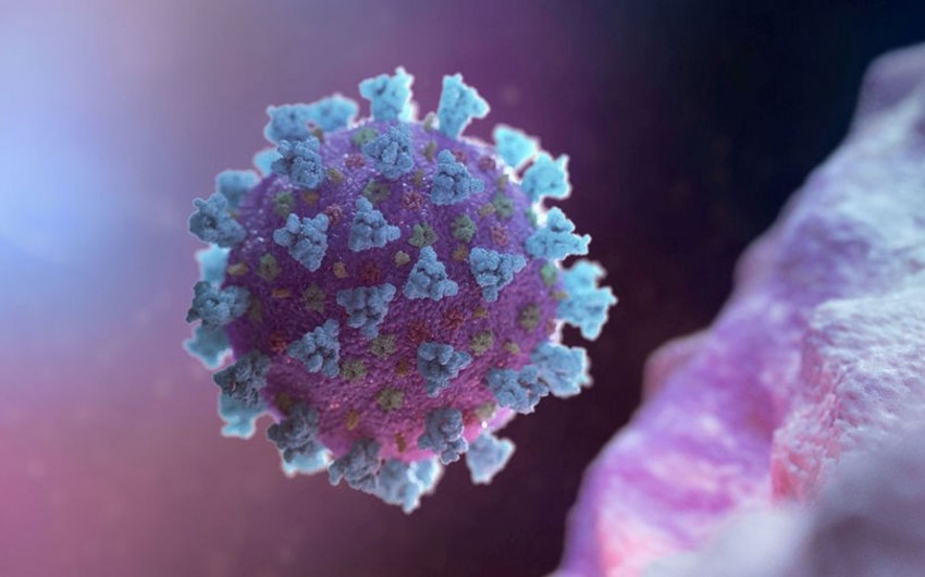 AMEA-da koronavirusla bağlı yeni bioinformatik proqram hazırlandı
