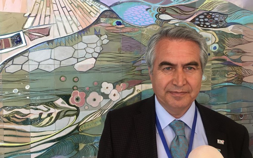 Глава комиссии Турции по ЮНЕСКО: Уничтожение культурного наследия на оккупированных территориях Азербайджана недопустимо
