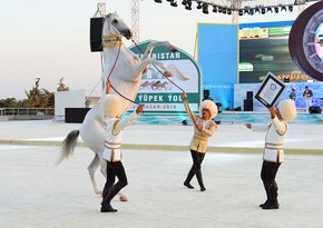 В Туркменистане установят монумент Акхану – коню Гурбангулы Бердымухамедова